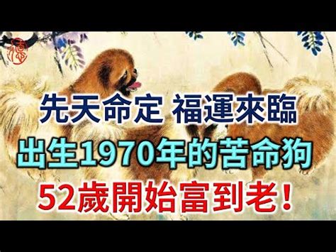 1970年生肖幾歲|1970是民國幾年？1970是什麼生肖？1970幾歲？